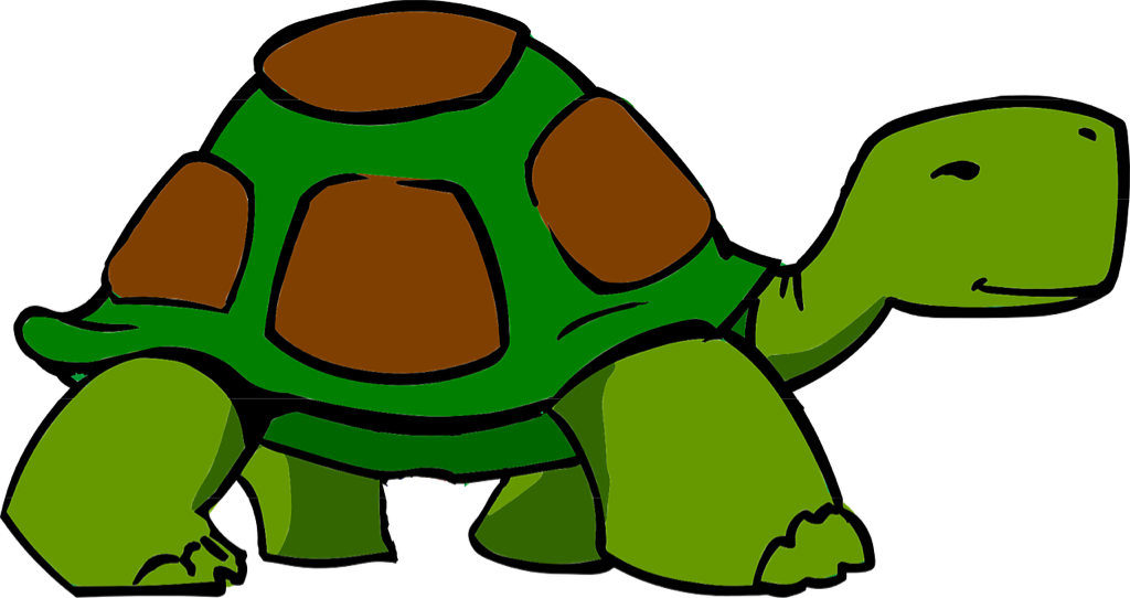 sad clipart tortoise
