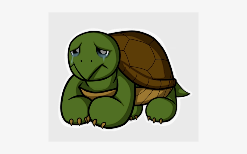 sad clipart tortoise