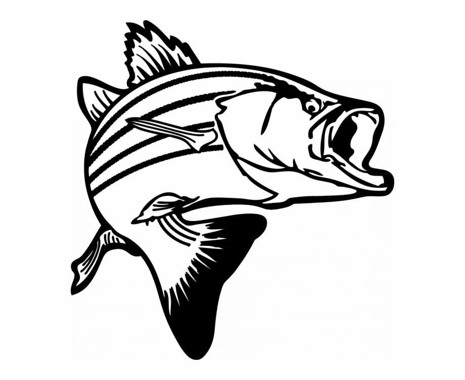 salmon clipart black and white