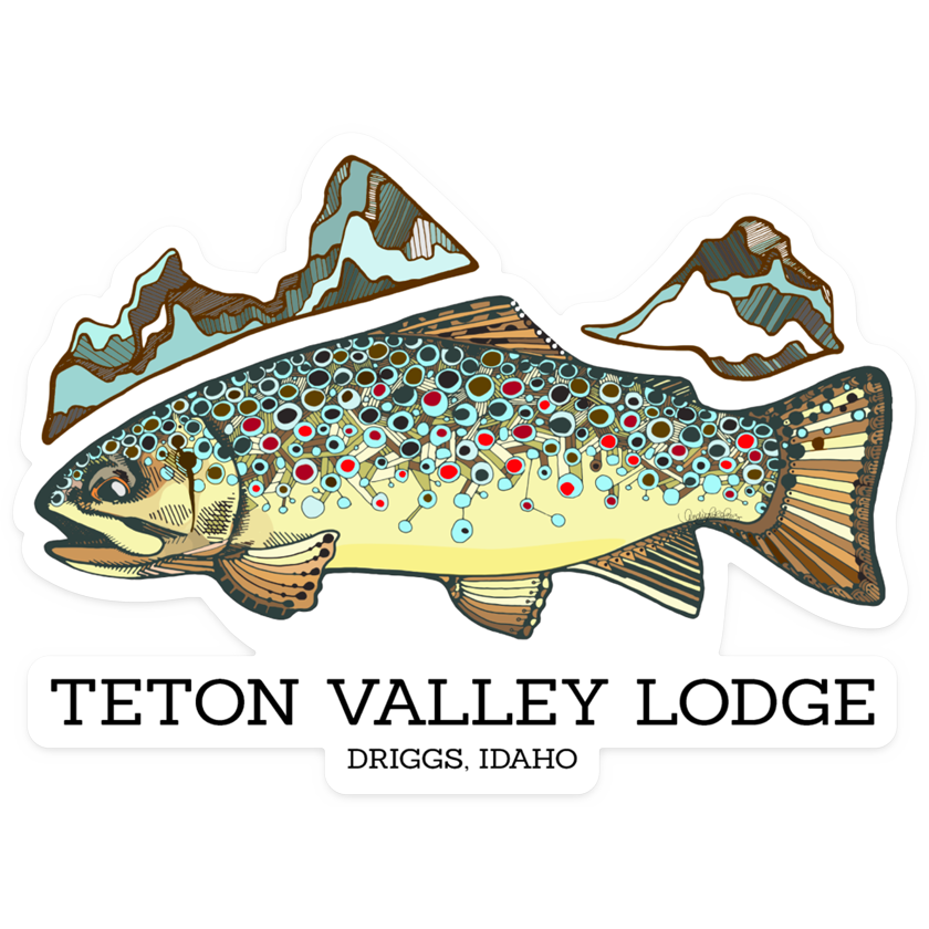salmon clipart brown trout