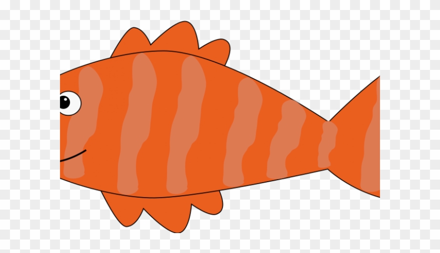 salmon clipart cartoon