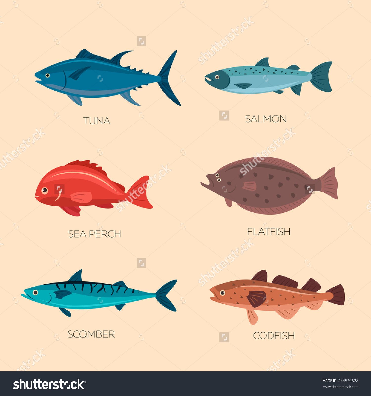 salmon clipart cod fish