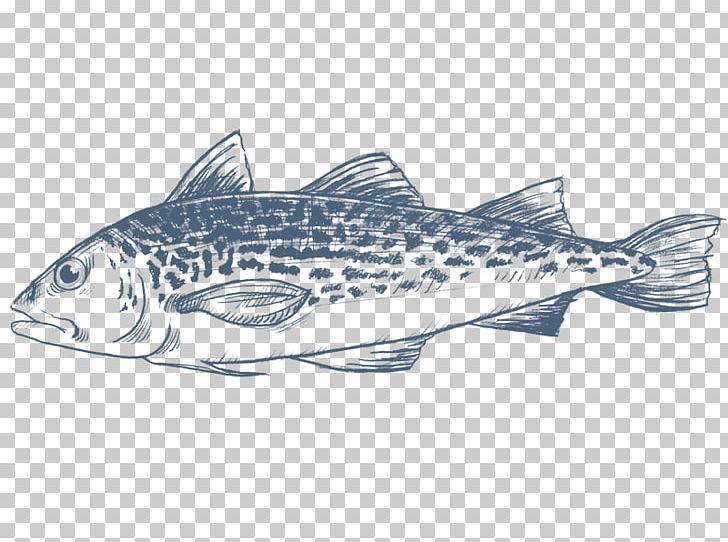 salmon clipart cod fish