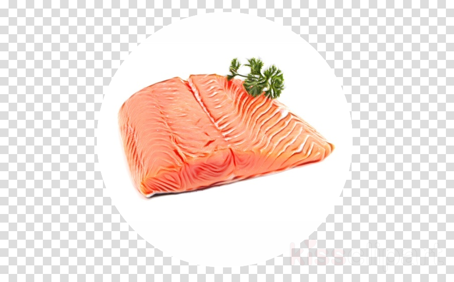 Salmon clipart fish dish. Smoked slice sashimi food
