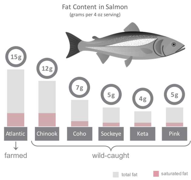 salmon clipart fish meal