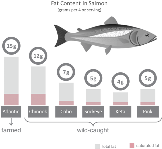 Venn diagram of wild. Salmon clipart fish meal