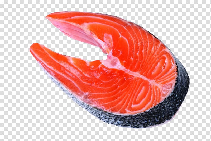 salmon clipart fish protein