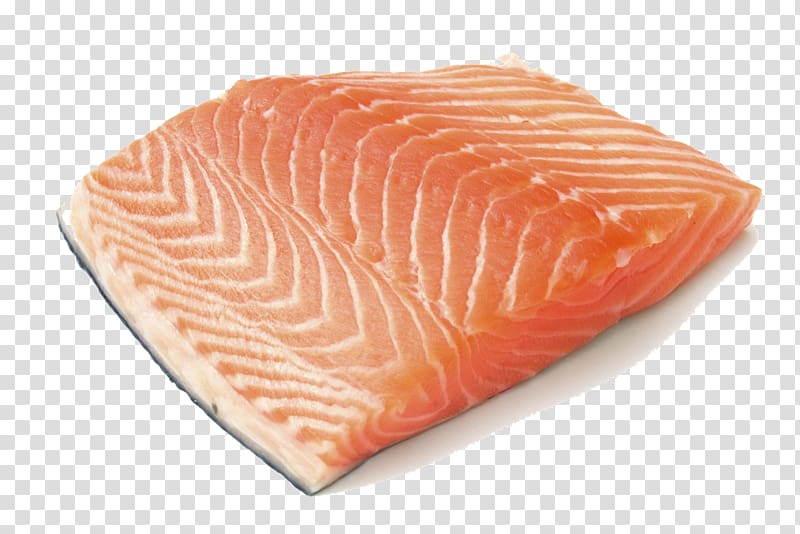 salmon clipart fish protein