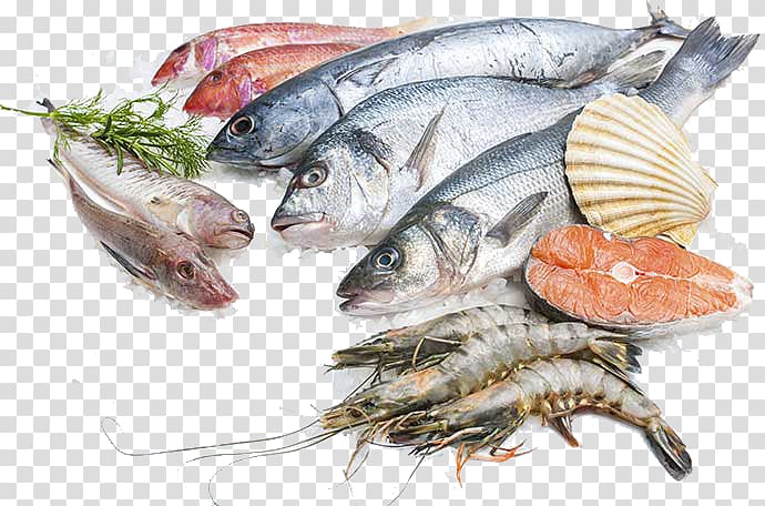 seafood clipart edible fish