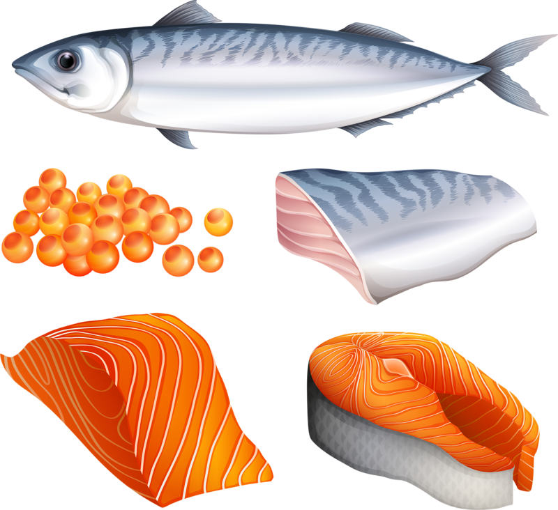salmon clipart food