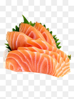 salmon clipart food
