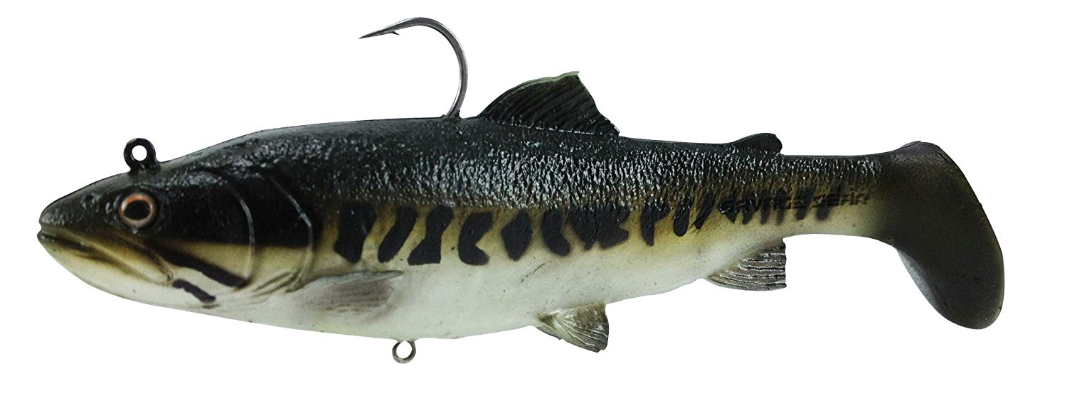 salmon clipart realistic fish
