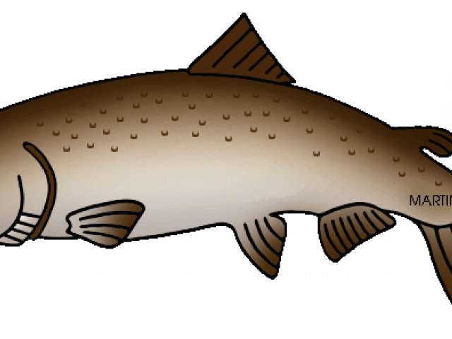 salmon clipart salmon alaskan