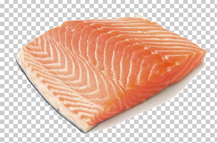 salmon clipart salmon steak