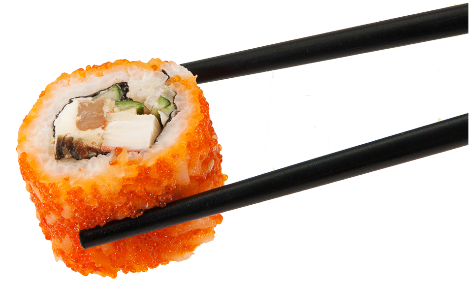 salmon clipart salmon sushi