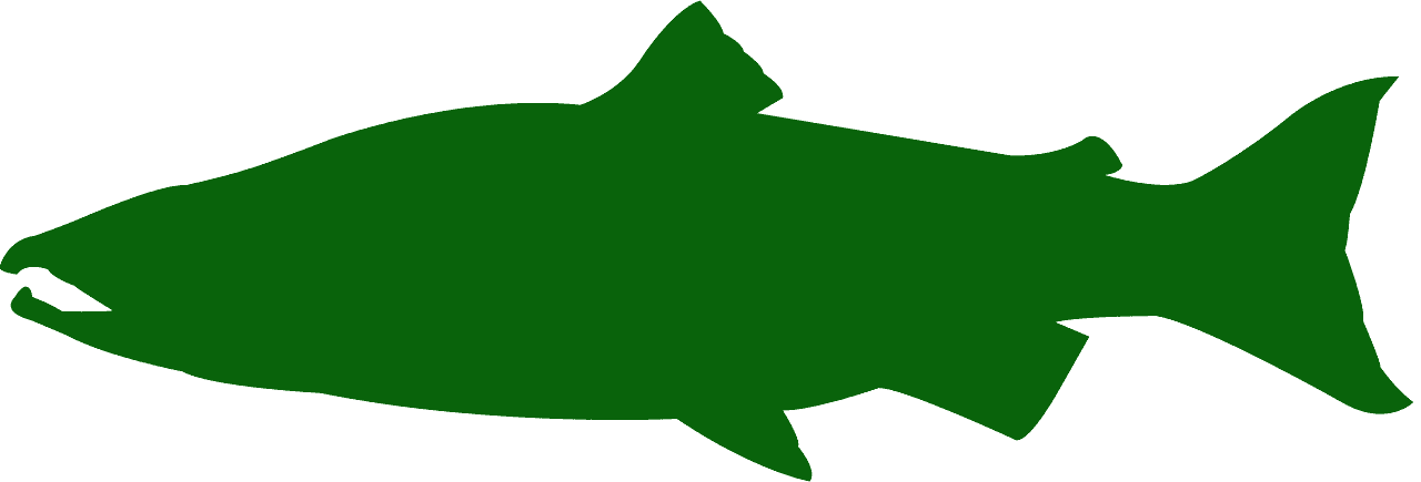 salmon clipart silhouette