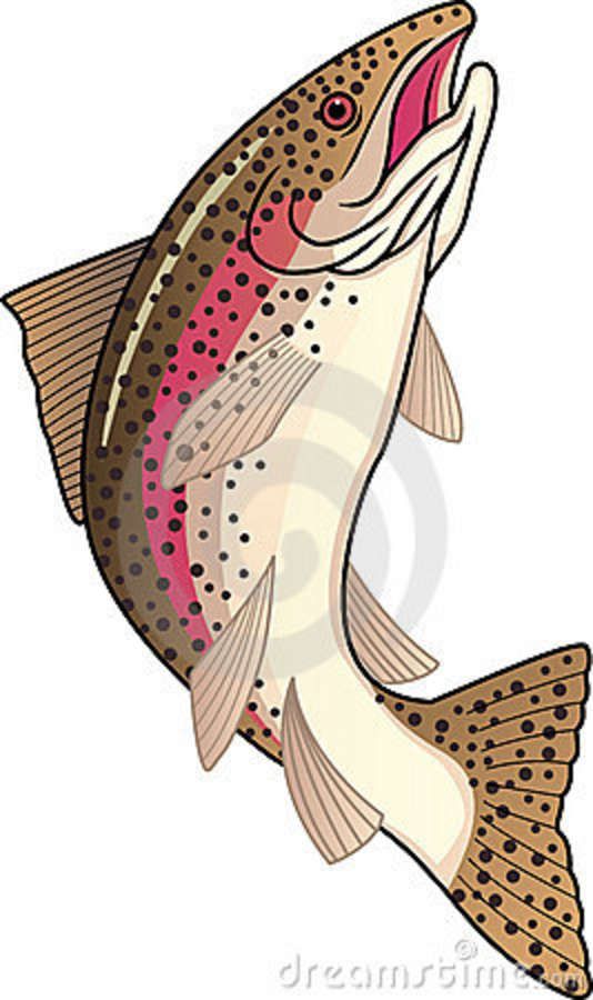 salmon clipart single fish