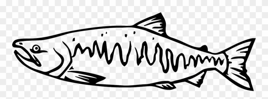 salmon clipart single fish