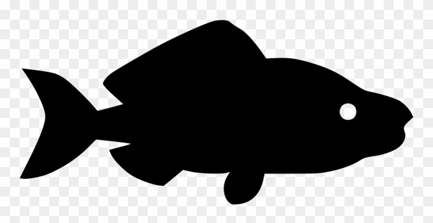 Salmon clipart steamed fish. Pink sea type comments