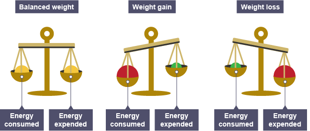 scale clipart energy balance