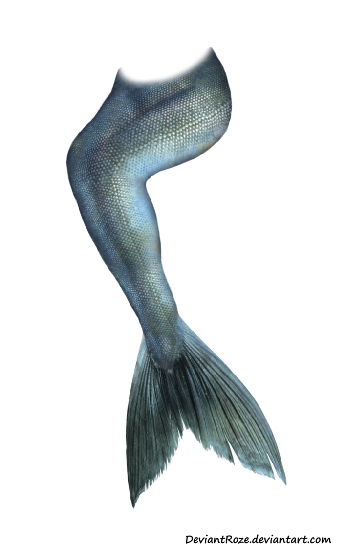 scale clipart mermaid tail