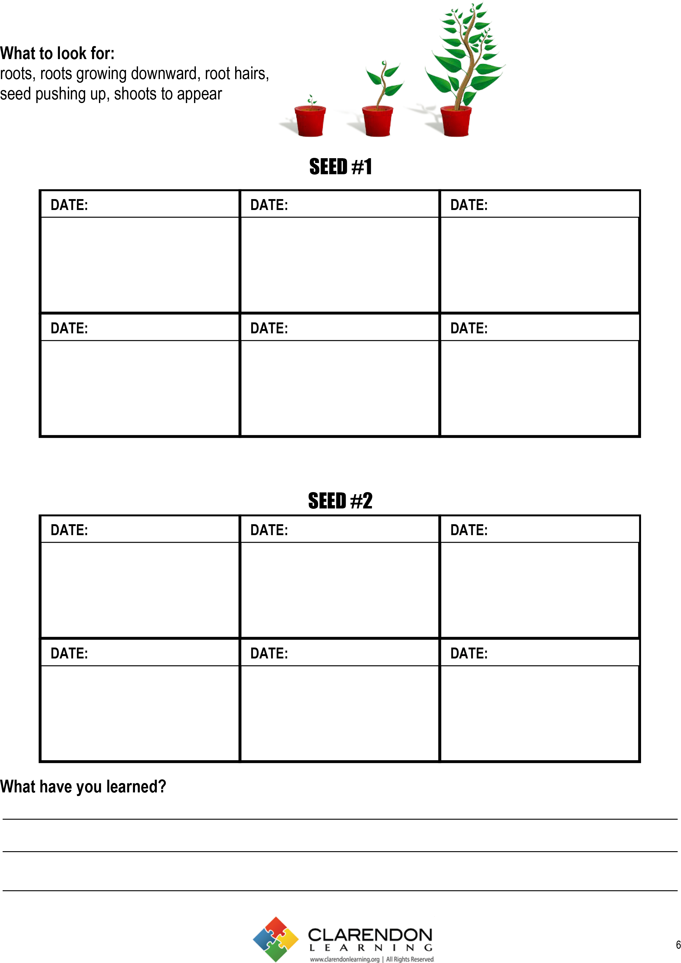 Schedule clipart unit plan. How do plants grow