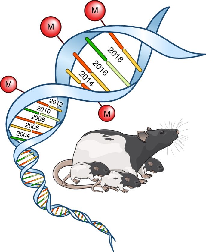 scientist clipart epigenetics