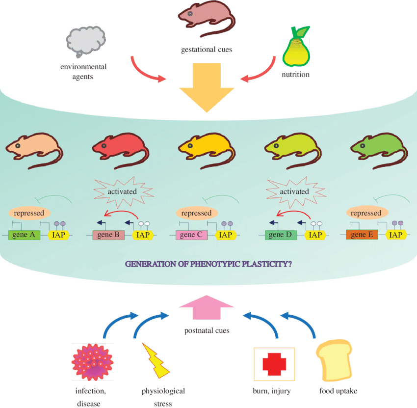 scientist clipart epigenetics