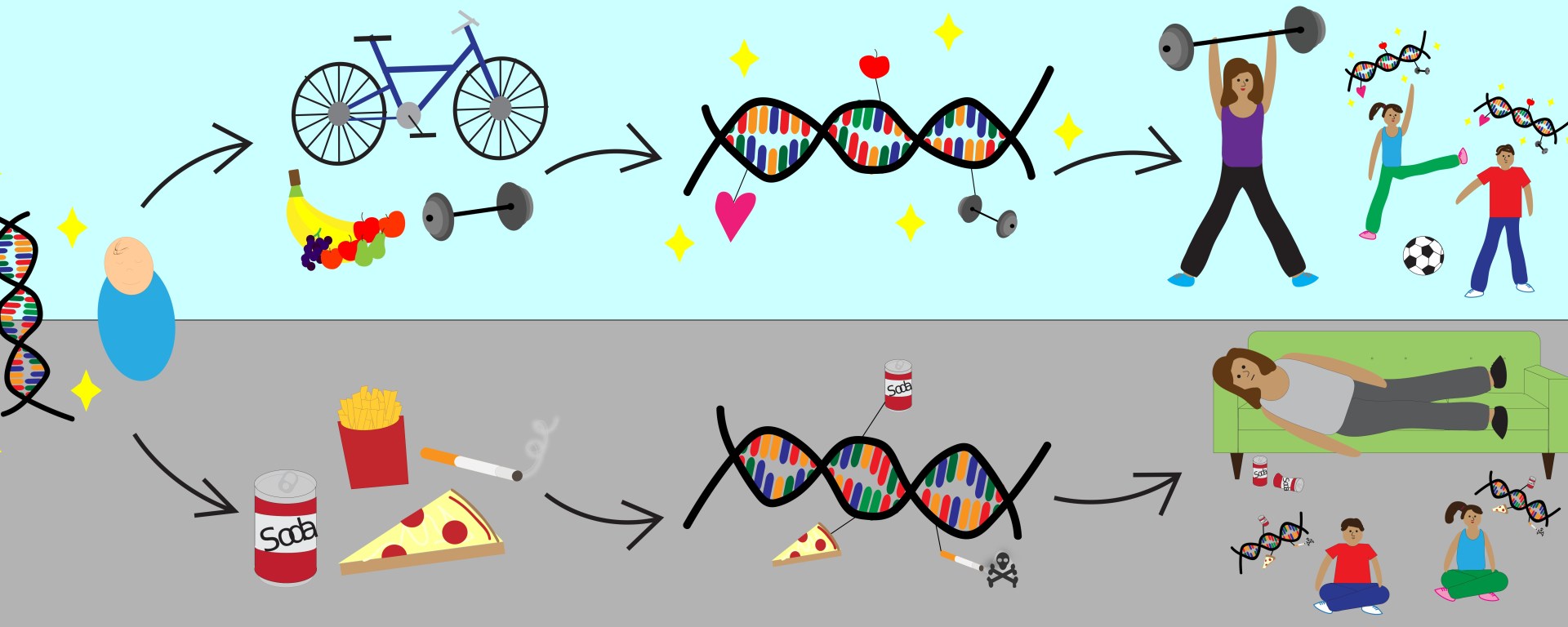 November what genes cannot. Scientist clipart epigenetics