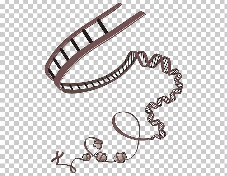 Scientist clipart epigenetics. Epigenomics science png biology