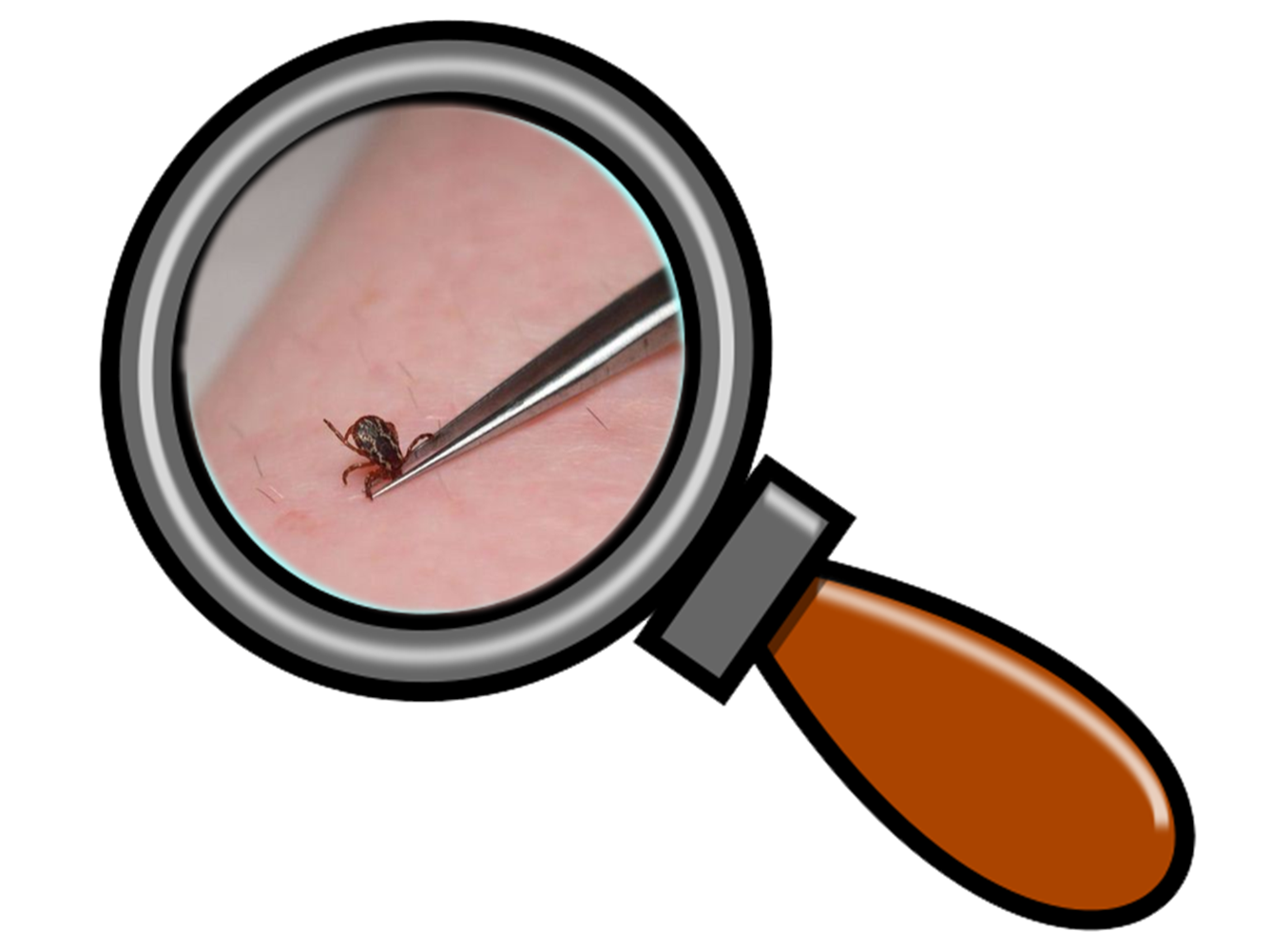 scientist clipart magnifying glass