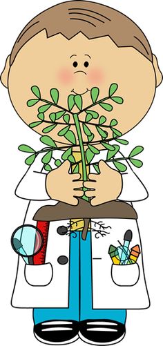 scientist clipart plant