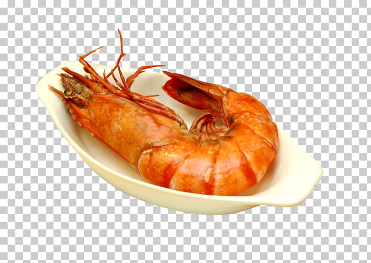 seafood clipart brine shrimp