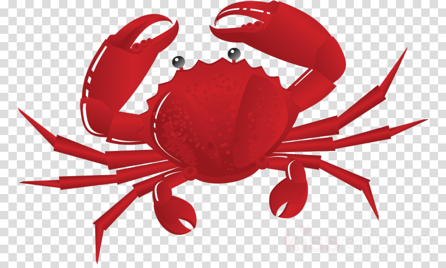 seafood clipart chilli crab
