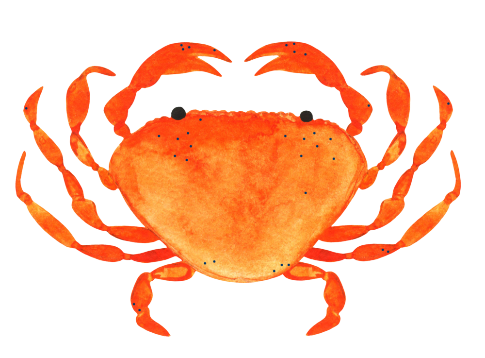 Seafood clipart crab feed.  annual dinner san