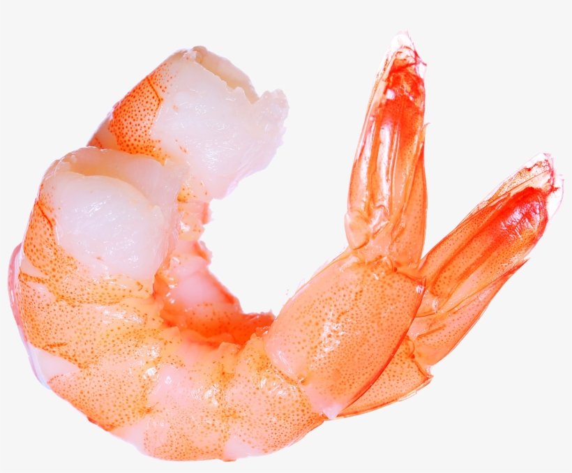seafood clipart dancing shrimp