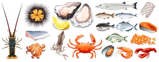 seafood clipart different