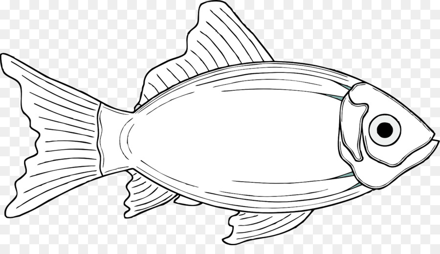 Seafood clipart drawing. Background fish head 
