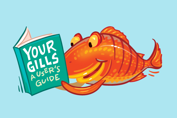 Seafood clipart fish gill. How do gills work