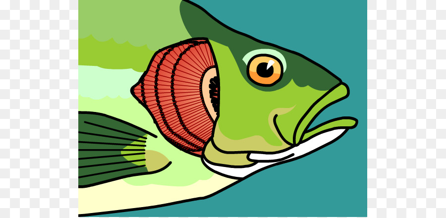 Seafood clipart fish gill. Green tree png download
