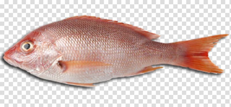seafood clipart fish protein