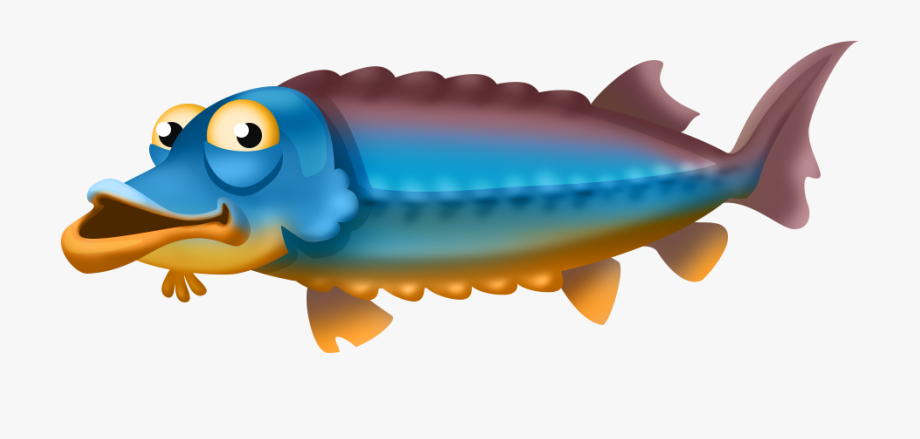 seafood clipart fish protein