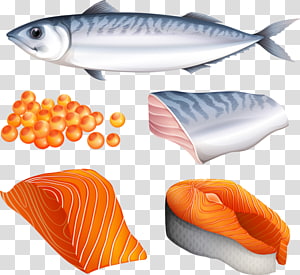 Salmon fish and transparent. Seafood clipart meat product
