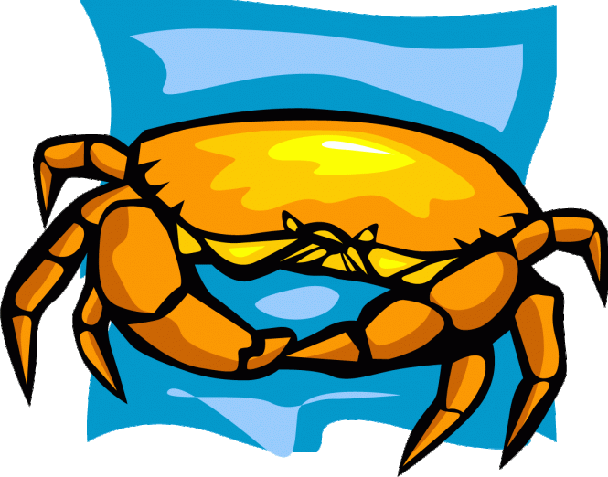 seafood clipart prawn