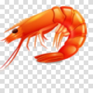 Seafood clipart prawn, Seafood prawn Transparent FREE for download on ...