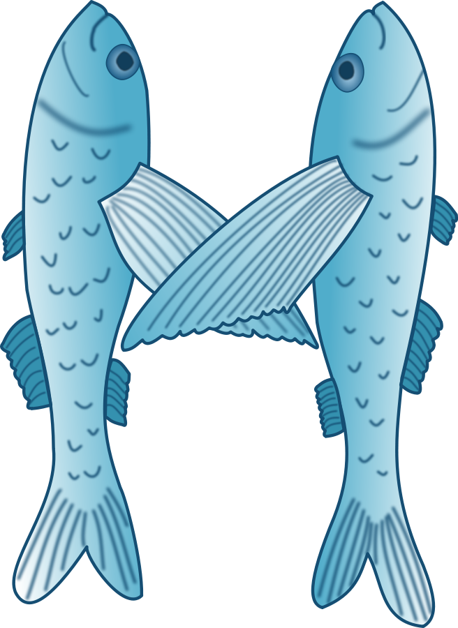 seafood clipart red animal