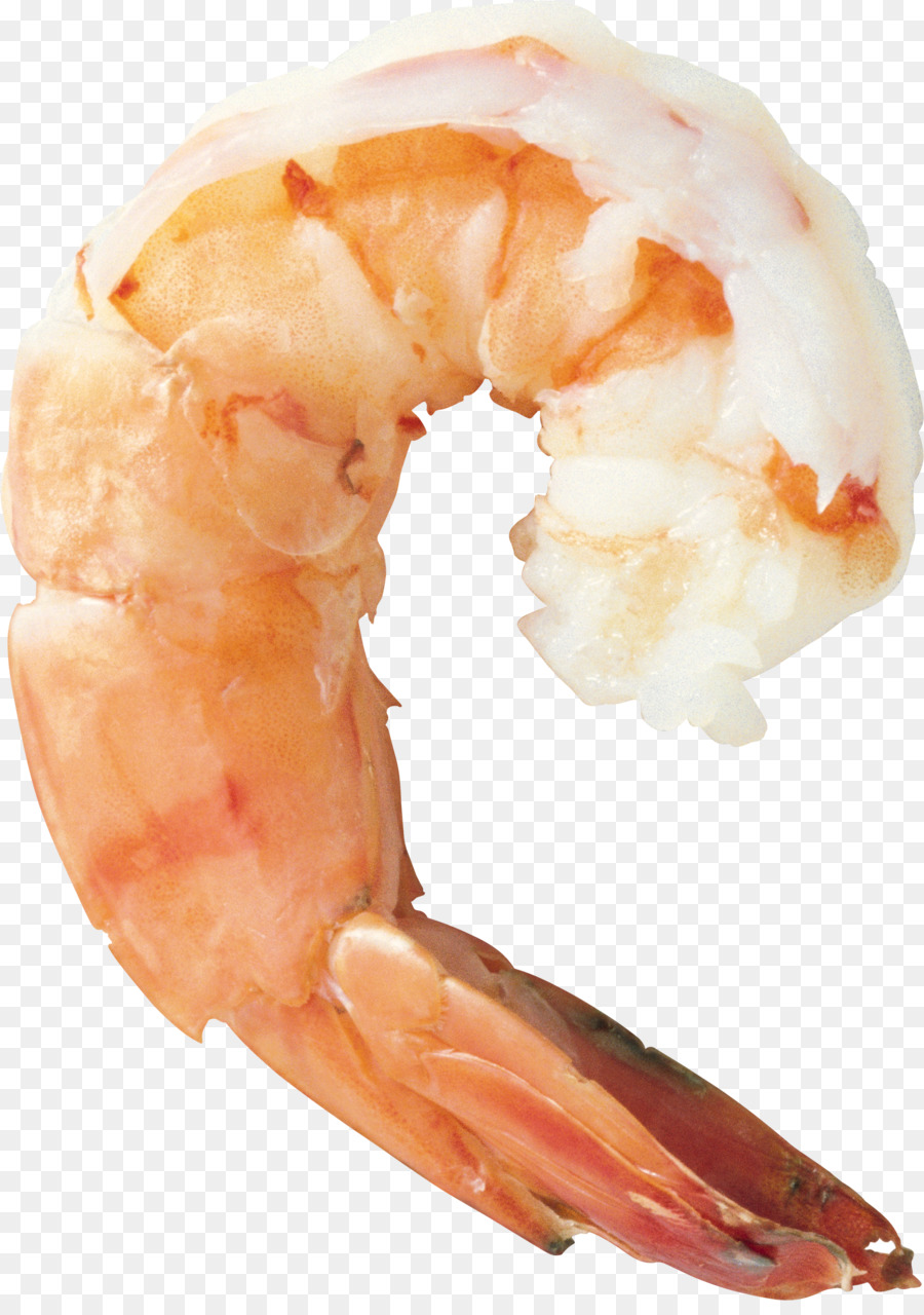 seafood clipart shrimp scampi