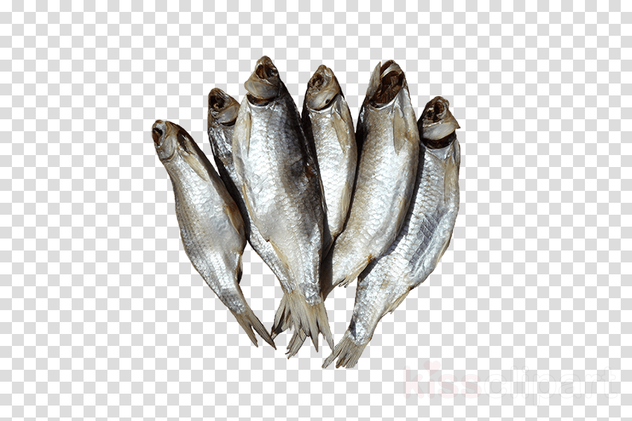 seafood clipart silver fish