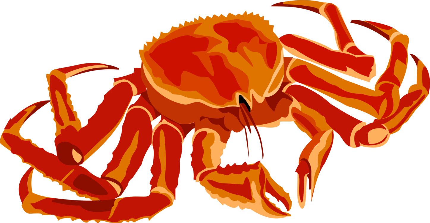 seafood clipart snow crab