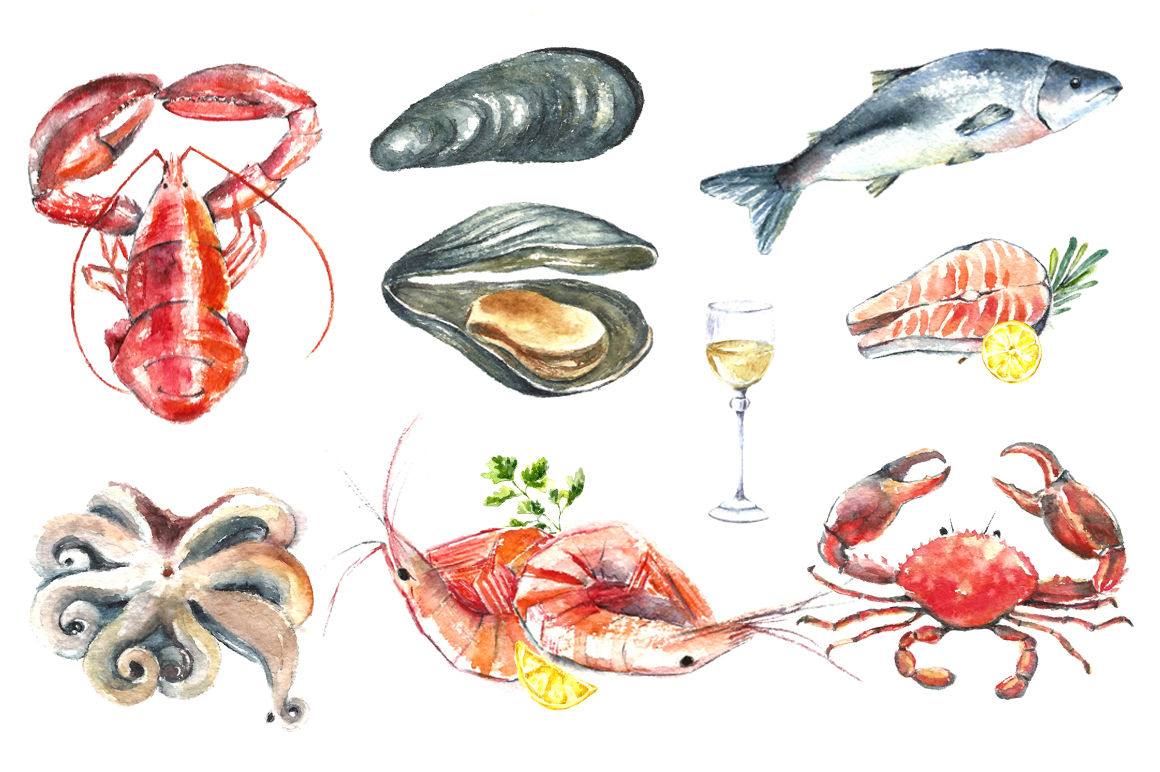 seafood clipart watercolor